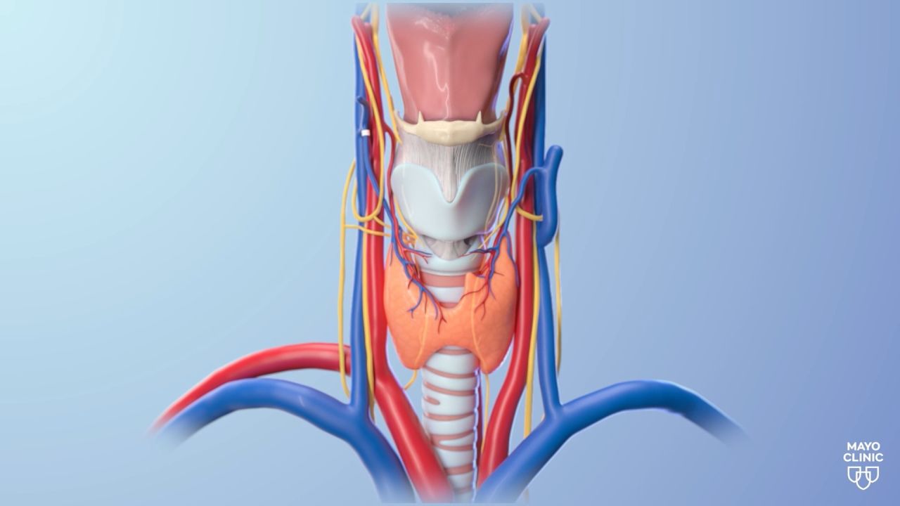 <p>En el minuto de salud, el Dr. David Lott resalta la importancia de la laringe, un órgano normalmente poco valorado pero que tiene mucha importancia en nuestras vidas. Además, nos da consejos para cuidar de ella y prevenir daños.</p>