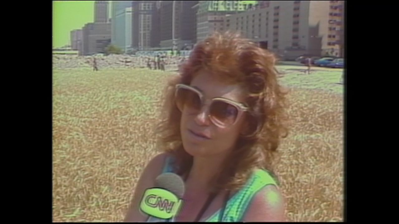 Artist Agnes Denes stages ‘Wheatfield’ in 1982 | CNN