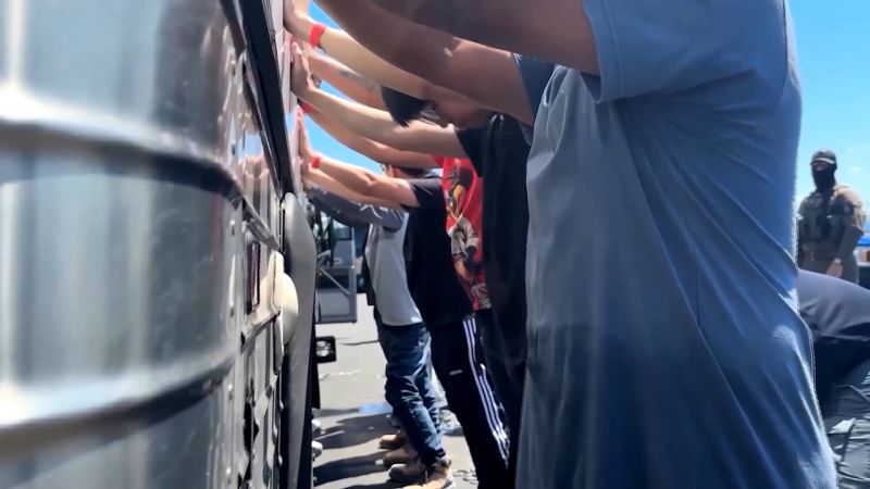 Georgia ICE raid leaves South Koreans stunned