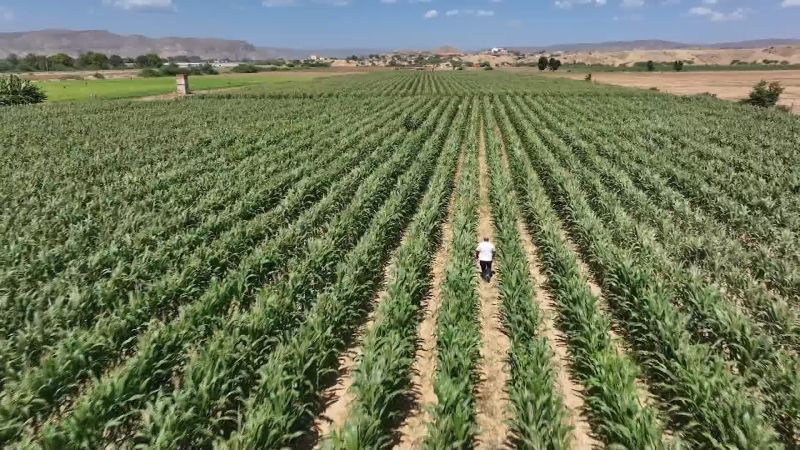 From farm to factory, producing food on scale in Angola From farm to factory, producing food on scale in Angola