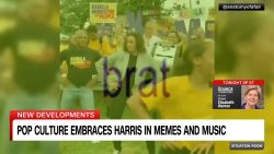 <p>From Beyonce to brat, could attention this week from pop culture, including memes and music, give Kamala Harris a boost?</p>