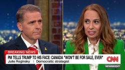 <p>Democratic strategist Julie Roginsky says watching the Canadian Prime Minister Mark Carney and President Donald Trump meeting reminded her of the Taylor Swift lyrics, "we are never, ever getting back together."</p>