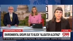 <p>Elise Pautler Bennett, the Florida Director and Senior Attorney at the Center for Biological Diversity, says she's "incredibly concerned about endangered and threatened species" in the Everglades amid construction of the controversial migrant detention center there. </p>