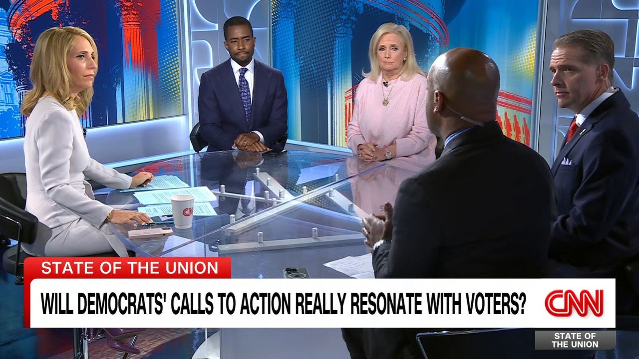 clipped thumbnail - panel full - CNN ID 21669357 - 00:04:25;12