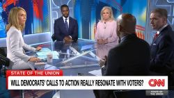 clipped thumbnail - panel full - CNN ID 21669357 - 00:04:25;12