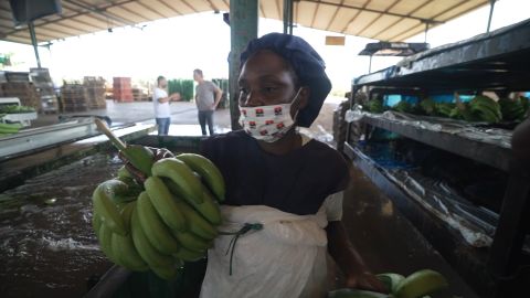 <p>Angola's largest grower is supplying both local and international markets by harvesting 60 different fruits and vegetables and managing all stages of the food supply chain. </p>