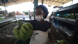 <p>Angola's largest grower is supplying both local and international markets by harvesting 60 different fruits and vegetables and managing all stages of the food supply chain. </p>