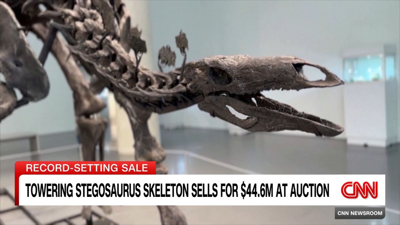 <p>A massive and nearly complete fossilized stegosaurus skeleton nicknamed 'Apex' sold for a record-setting $44.6M at auction on Wednesday.</p>