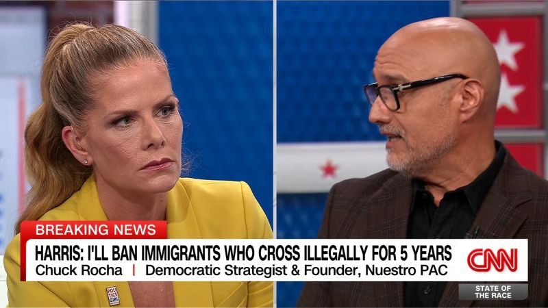 Dem Strategist on immigration: “I can’t stand that we let them have this issue”